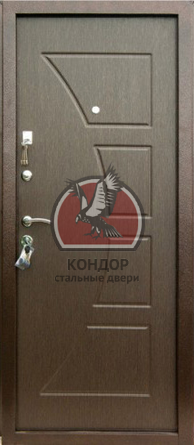 kondor801 1